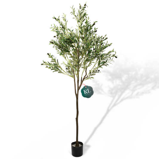 6ft / 180cm Artificial Olive Tree by Knot & Leaf for Home or Office